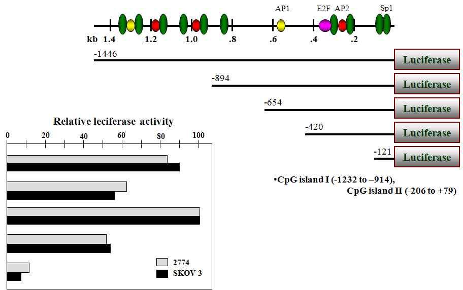 Figure 23.