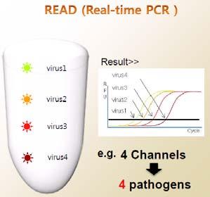 동사는핵심원천기술로 DPO(Dual Priming Oligonucleotide), READ(Real Amplicon Detection), TOCE(