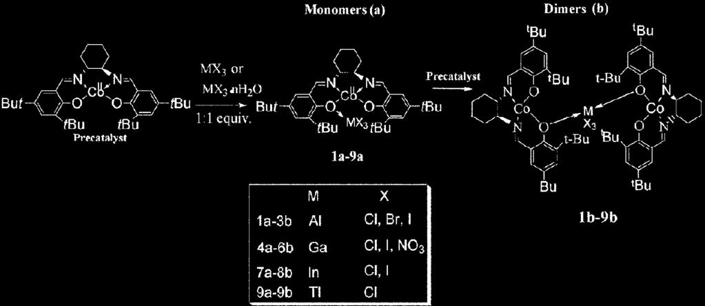 ˆ pn p 653 Scheme 4. The structure of monomeric and dimeric salen catalysts. Table 2.