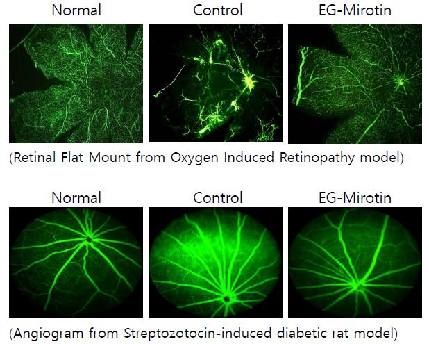 당뇨망막증치료제 EG-Mirotin 비교