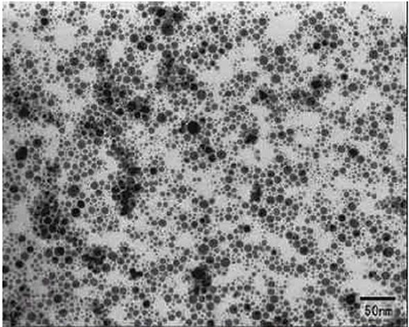 214 청정기술, 제 21 권제 4 호, 2015 년 12 월 Figure 4. ITO nanoparticles fabricated with inert gas condensation method. Figure 6. ITO nanoparticles fabricated with low temperature synthetic method.