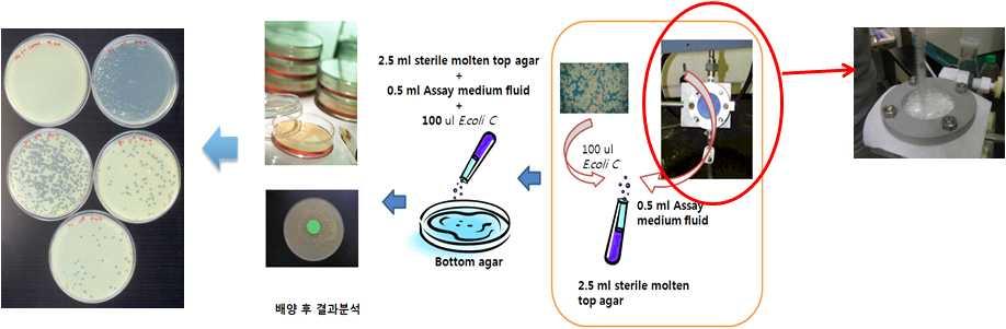 " penetration simulation) - ISO 16604 [ISO 16603