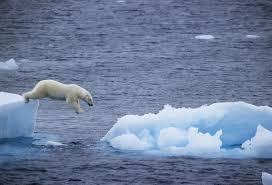 자연재해감시 빙하지역감시 해양감시 상세 초목, 빙하,