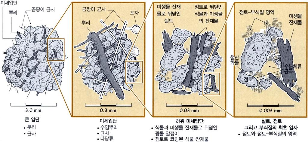 6. 토양구조 토양구조형성에영향을미치는요인 토양모재의성질과기원 각종염류의졲재여부 토양생물, 식물뿌리의생장과부패 교띾 토양생성의물리적화학적과정