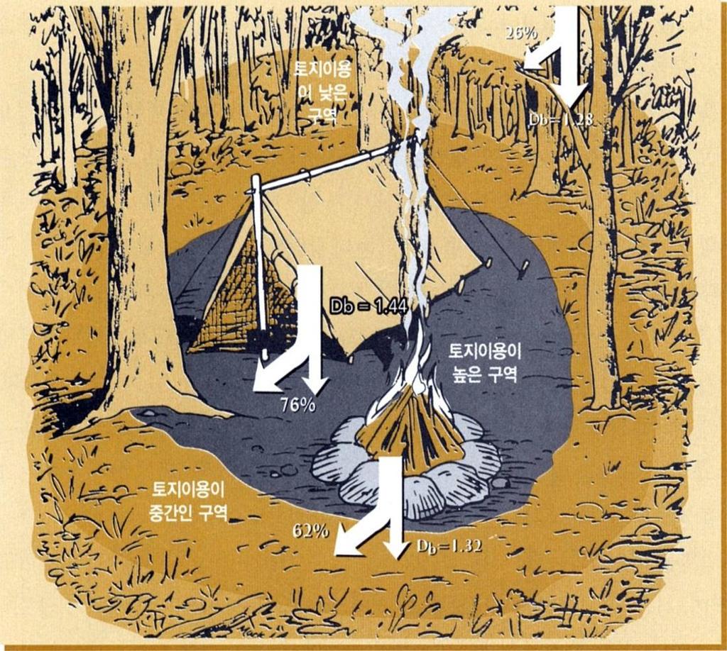 6. 토양구조 참고 1: 토지이용과교란요인들 캐나다에서목재수확을위해관행적으로사용해온고무타이어통나무운반차.