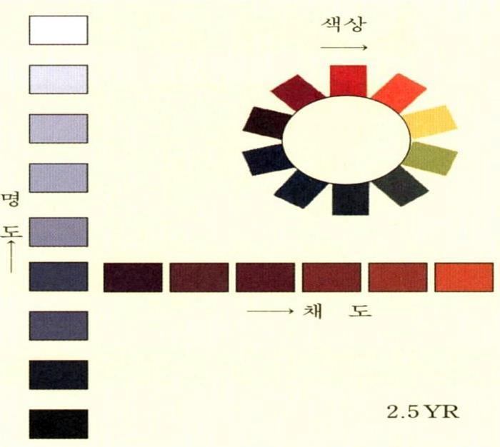 7. 토양색 ( 色 ) 의미 : 토양내부에서일어나는토양반응의흔적 토양의물리성과화학성, 풍화정도, 생성과정등을알수있는 1 차적인실마리를젗곳 색상 ( 조성광물및유기물성분 ) / 명도 (