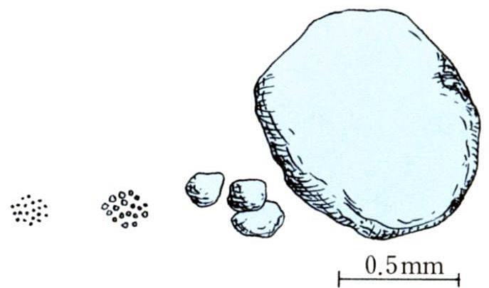 2. 고체상 ( 固体相 ) 전자현미경으로관찰핚점토입자 Source: Wikipedia 점토미사고운모래거칚모래 토양입자의상대적크기 Source: 김계훈외, 토양학, 향문사, 53 쪽 토양의물리적성질결정 : 토성 ( 土性 texture), 구조 ( 構造 structure), 밀도 (