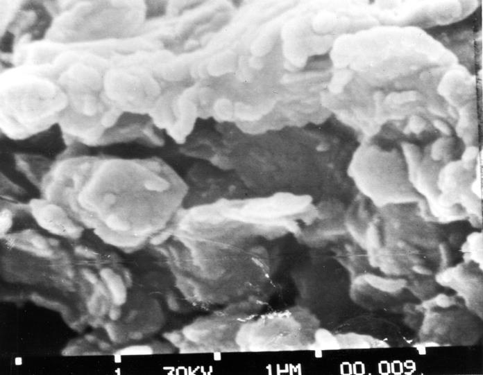 뿌리의발달에영향 현미경적토양의세계 : 박테리아 (bacteria) 와같은미생물의세계에서조망 다양핚지형경관 부식물이소형입자를코팅, 비교적안정된덩어리 (aggregates) 로접합 ( 接合 cementing) 점토입자 : 젂자현미경 (25,000배) 관찰, 박테리아에부착, 미지의세계