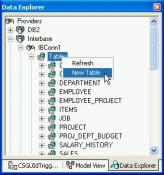 ,, Stored Procudure Delphi 2005 IDE Data Explorer BdpConnections, BdpDataAdapters BDP Data Explorer Delphi 2005 Data Explorer,, Stored Procedure,