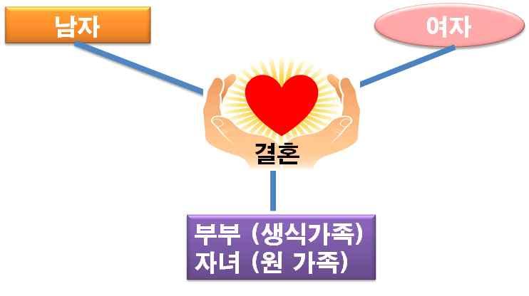 3. 한국인의가족생활주기 1) 가족발달과정 2) 가족생활주기 (1) 결혼전기 / 구애기 미혼의자녀가원가족을떠나자신의가족을이루기전까지의기간.