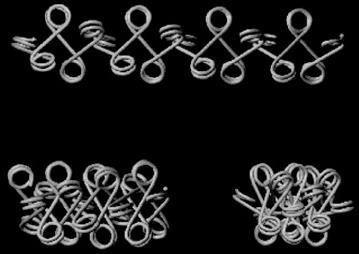 section of chromosome Image from