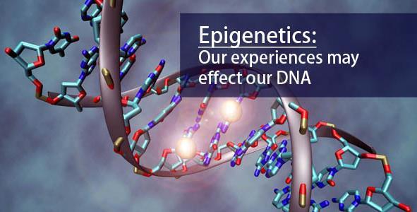 Epigenetics ( 후성유전학 ) DNA 염기서열이변하지않는상태에서크로마틴 (chromatin,