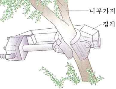 표 6. 인력수확에의한작물의수확방법 작물 수확방법 결구배추 뿌리를잘라서수확 고추 꼭지를분리하지않고수확 방울토마토 흔들어수확하면가지가부러지기때문에손으로직접따서수확 사과, 배