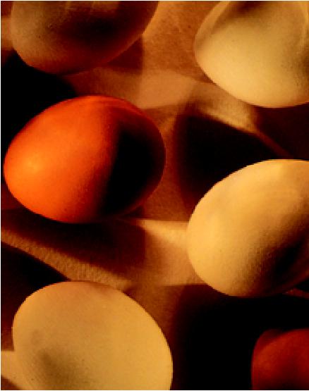 Chemistry In Action: How an Eggshell is Formed ( 생활속의화학 : 달걀껍질은어떻게형성되는가 ) -