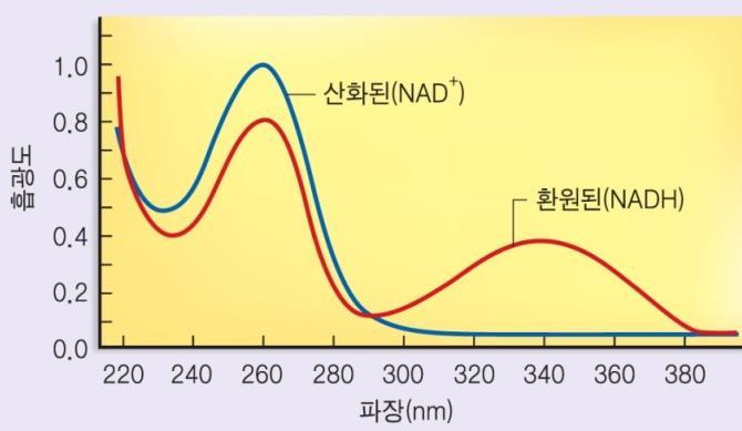 dinucleotide) NADP + 