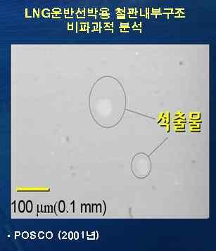 유방조직의정상세포와암세포를 100nm