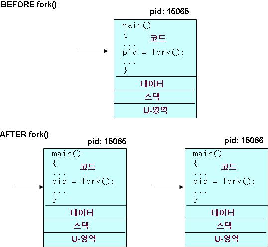 그림 10.5 프로세스생성전후 프로그램 10.2 fork1.c #include <stdio.