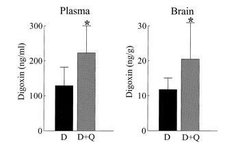 2004) [ 그림 3] Plamsa 와 brain 에서 digoxin