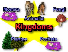 This "kingdom scheme" has co-existed with another classification of living organisms based on cell complexity: Eukaryotes: Complex cells with organized structures inside called "organelles" (e.g., nuclei, mitochondria, chloroplasts).