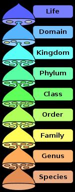 The Classification of animals The science of classifying organisms is called taxonomy.