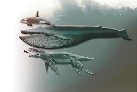 15m 길이 ' 바다괴물 ' 북극서화석발견돼 1 억 5000 만년전쥐라기에생존했던거대한 ' 바다괴물 ( 왼쪽맨아래 )'