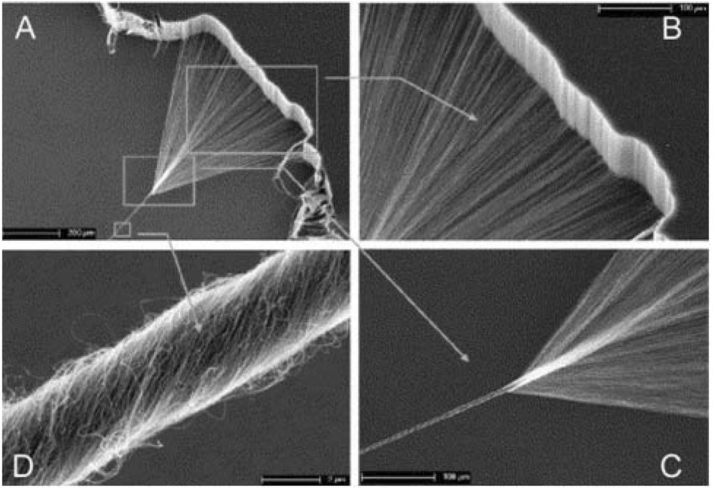 328 Min-Kang Seo et al. / Carbon Letters Vol. 9, No.