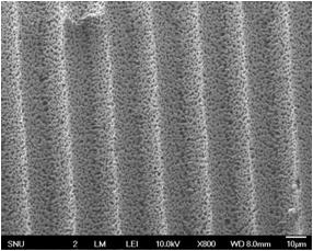 913) X 800 X 2500 (e) 25% PVDF solution