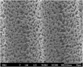 Surface-section images of patterned hollow