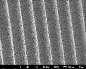 X 800 X 2500 (c) 40 ml/min (fidelity : 0.913) Figure 14.