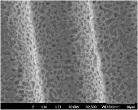 membranes prepared with 20% PVDF solution using