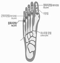 7) 한발가락에장해가생기고다른발가락에장해가발생한경우, 지급률은각각적용하여합산한다.