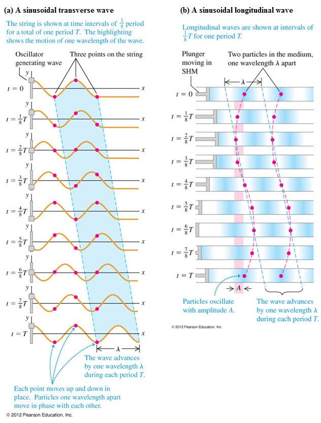 [ 국제캠퍼스실험전용 ] 역학적파동 Objective 줄을통해전파되는횡파에의해형성되는정상파를관찰하고정상파의발생조건을확인한다. 관을통해전파되는종파에의해형성되는정상파를관찰하고음파의속력을측정한다.
