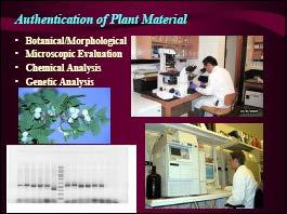 생약의품질평가 Botanical/Morphological Microscopic