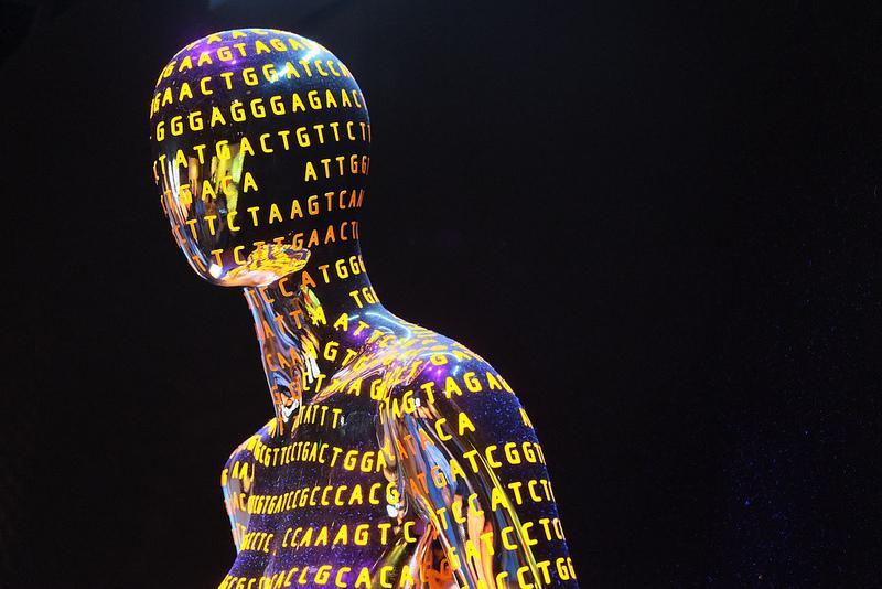 인간게놈완성 게놈 (genome): 한생물이가지는모든유전정보 2003 년 4 월 14 일, 인간게놈프로젝트에참여한 6 개국과학자들이인간의유전적청사진인인간게놈지도를