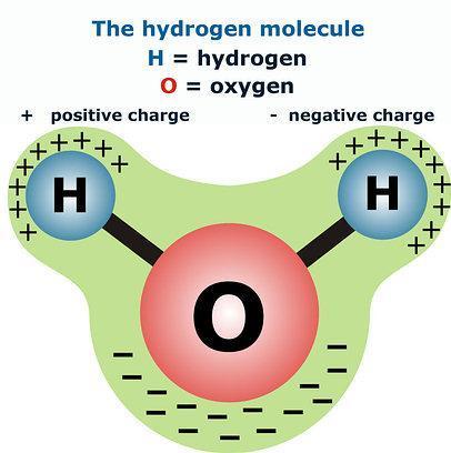 9. 물 H2O 분자 극성공유결합분자 전기음성도가서로다른산소와수소원자의공유결합으로형성