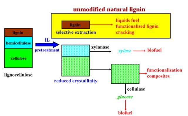 Principle of Bio-PO 변환과정 이온성액체이용 ( [Bmim][Cl], [Amim][Cl] )