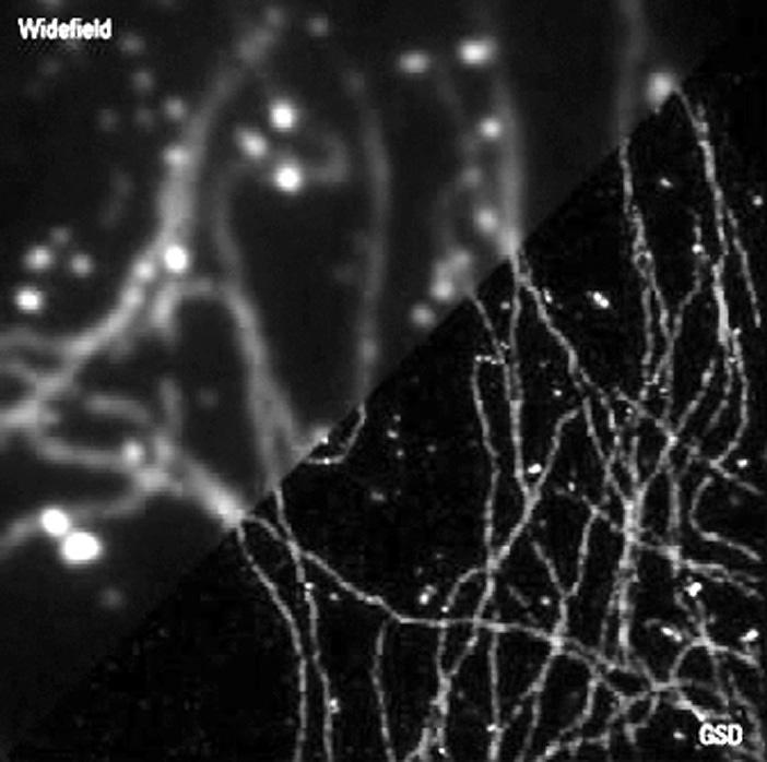 KEIT PD Issue Report PD ISSUE REPORT NOVEMBER 2014 VOL 14-11 그림 1-6 GSD 현미경으로얻은 PtK2 세포내 microtubles 와 cathrin 이미지 * 출처 : leica-mycrosystem.