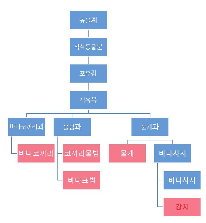 융합인재교육(STEAM) 프로그램 [중학교(자유학기제) - 학생용] 활동 2 생물은 어떻게 분류할 수 있을까? 다 비슷하게 생긴 수생 포유류들도 가만히 살펴보니 더 자세히 분류가 가능하다.