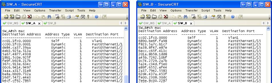 그림 19 macof 공격후 Wireshark 로캡쳐한패킷 다음과같이출발지의 IP와 MAC주소를임의로생성, 의미없는더미정보를계속적으로전송하는것을알수있다. 2.3.