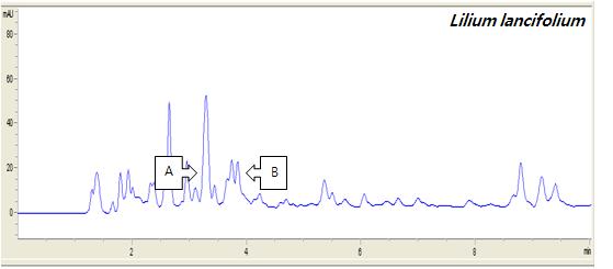 韓資植誌 Korean J. Plant Res. 27(2) : 125~132(2014) Fig. 2. The chromatogram of HPLC of ρ-coumaric acid and ferulic acid in ether fraction of bulb from Lilium lancifolium (A: ρ -Coumaric acid, B: Ferulic acid).