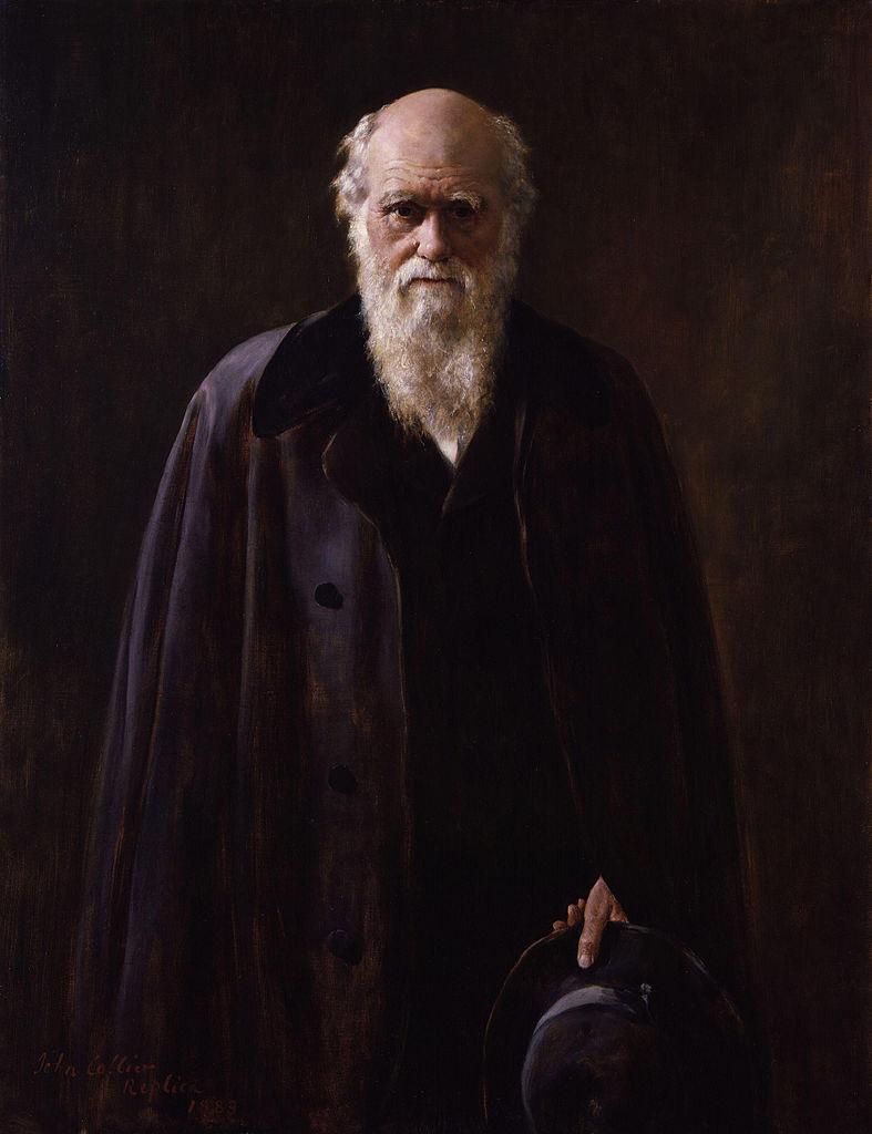 찰스다윈 (Charles Robert Darwin, 1809~1882) 영국의지질학자이자생물학자.