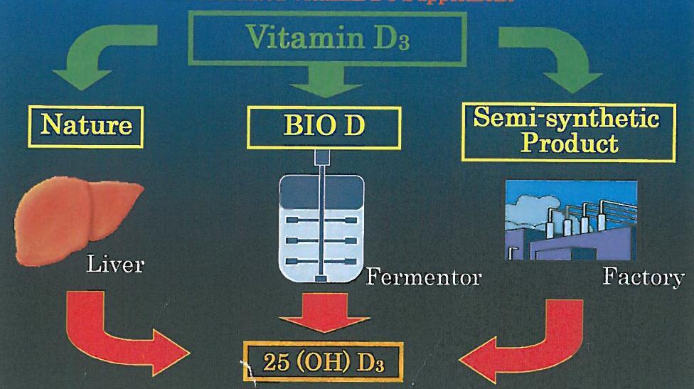 알조아 (ALZOA) 란? 활성 ( 발효 ) 비타민 D3 ; 25-OH-Vit.