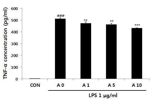 그결과, Raw 264.7 세포에 LPS 처리하였을때, 대조군에비하여 NO 생성이 0.45에서 3.15로 7배로증가되는것을확인하였다. A.C.C. 추출물을 1, 5, 10 µg/ml로처리하여 NO의생성억제효과를측정하였을때, 그결과 Raw 264.7세포에서 LPS 유도로증가된 NO생성이 A.C.C. 추출물로인해농도의존적으로억제되는것을확인하였다 (Fig.