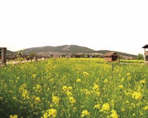 06 云龙湖风景区운룡호풍경구 시내에자리하고있는호수주 변에낮은언덕의한면을통째로인공폭포로조성한주산풍경구 ( 珠山风景区 )