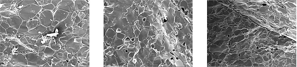 Fig. 1. Hardness of thawed blueberry at C, 25 C from different freezing temperature. Statistically different groups are differently labeled (P<0.05).