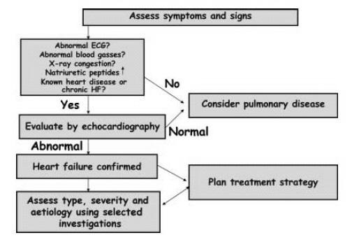 기왕력을가진경우이다. Stage C : 구조적인심장질환을가지고있으면서현재또는과거에심부전증상을동반한상태.