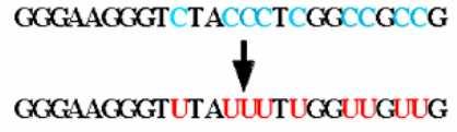 1) Unmethylated DNA 2)