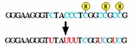 Chemical reaction of bisulfate