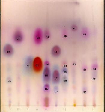 THIN LAYER CHROMATOGRAPHY - Visualization As the chemicals being separated may be colorless, several methods exist to visualize the spots: Visualization of spots under a UV 254 lamp.
