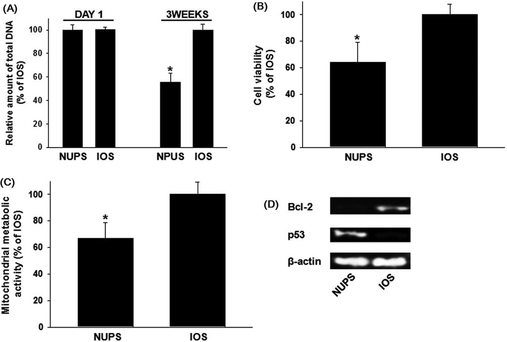 730 방석호 유태경 Fig. 2. Viability of hadscs cultured on the non-uniform porous (NUPS) and in the inverse opal scaffolds (IOS).